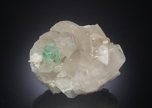 CC30441 specimen image