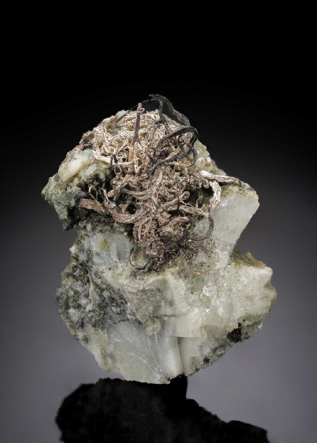 CC30451 specimen image