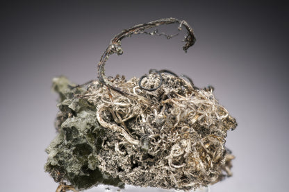 NATIVE SILVER