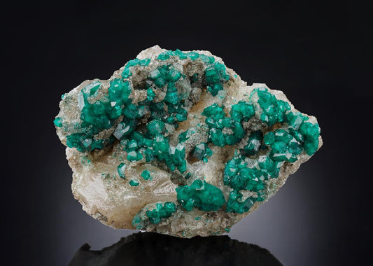 CC30465 specimen image