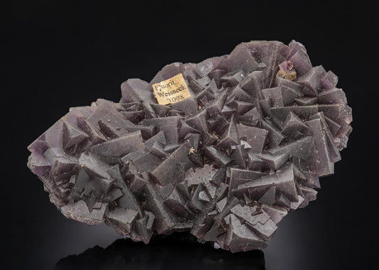 CC30483 specimen image