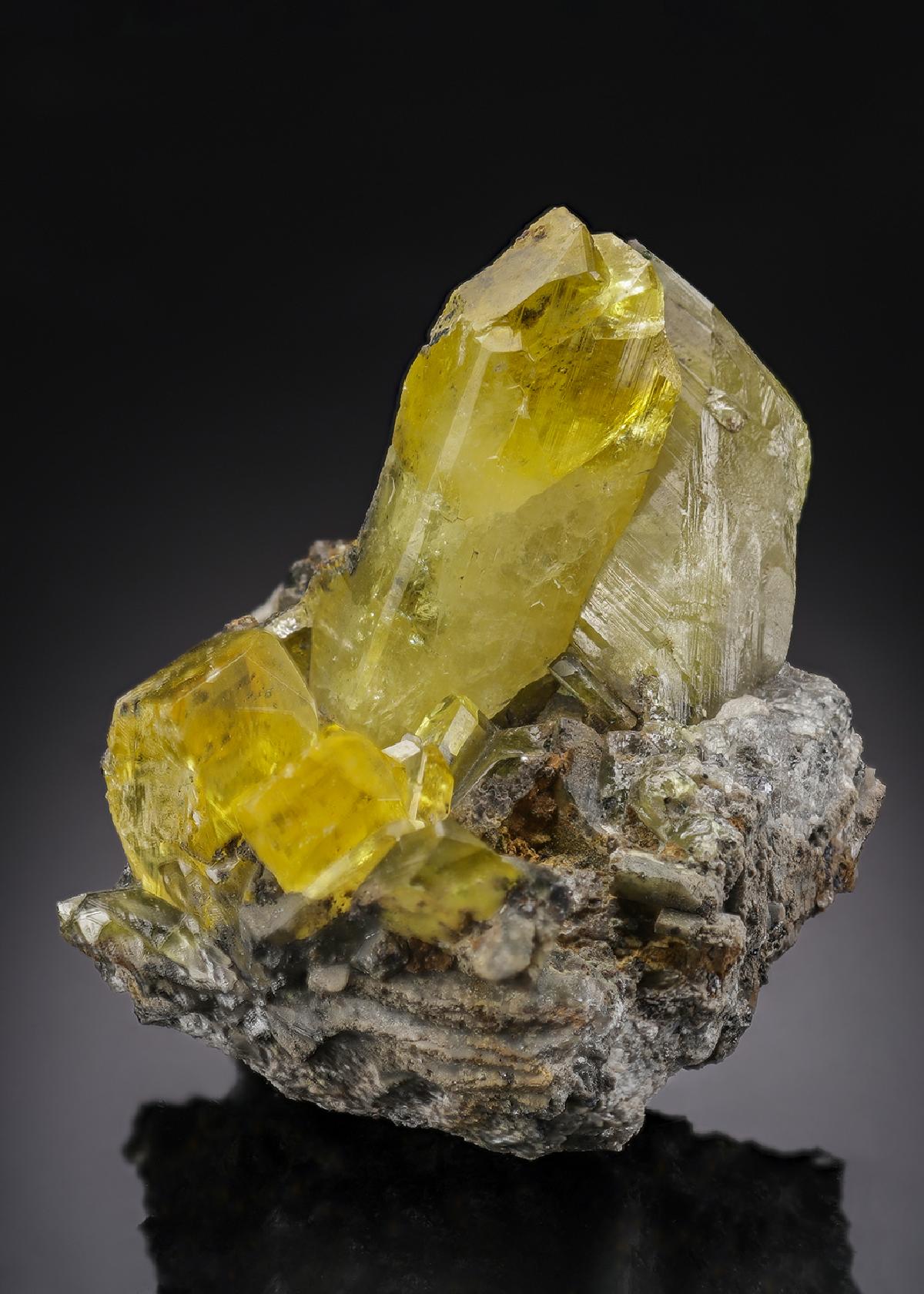CC30487 specimen image