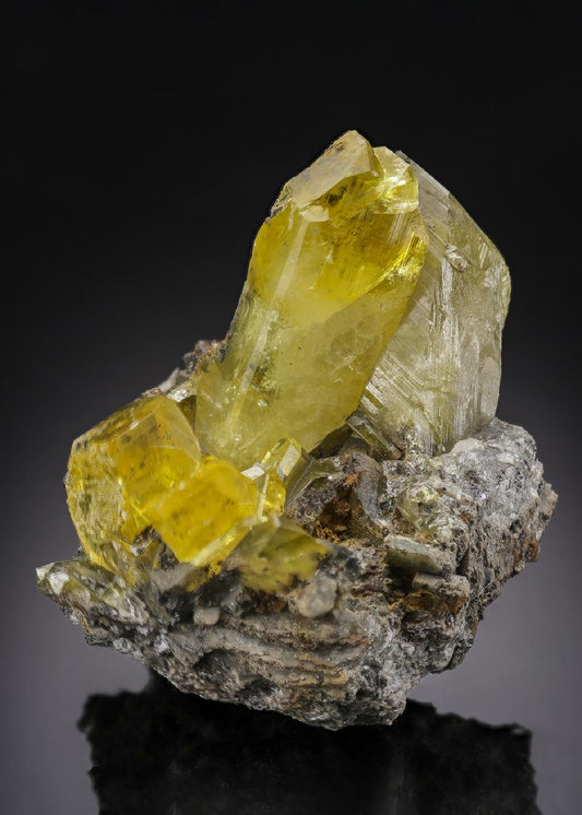 CC30487 specimen image