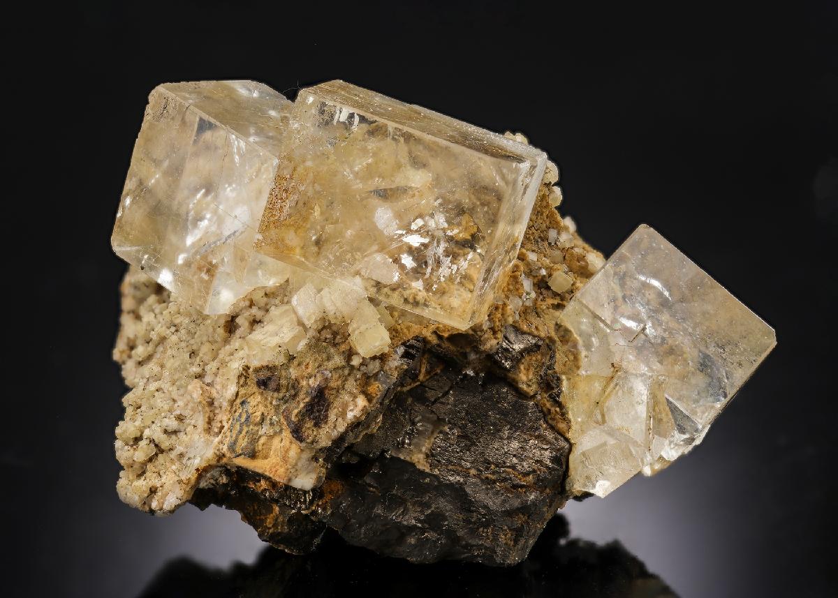 CC30491 specimen image