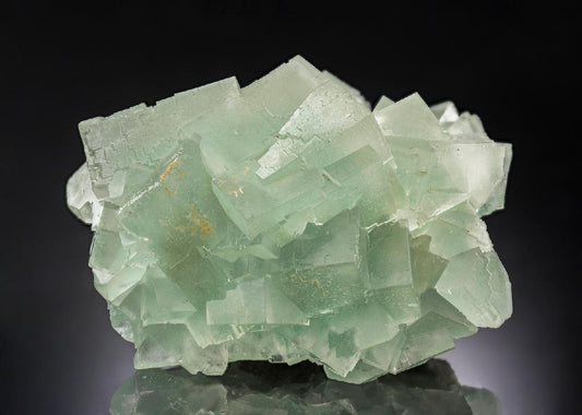CC30495 specimen image