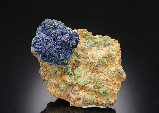 CC30513 specimen image