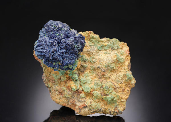 CC30513 specimen image