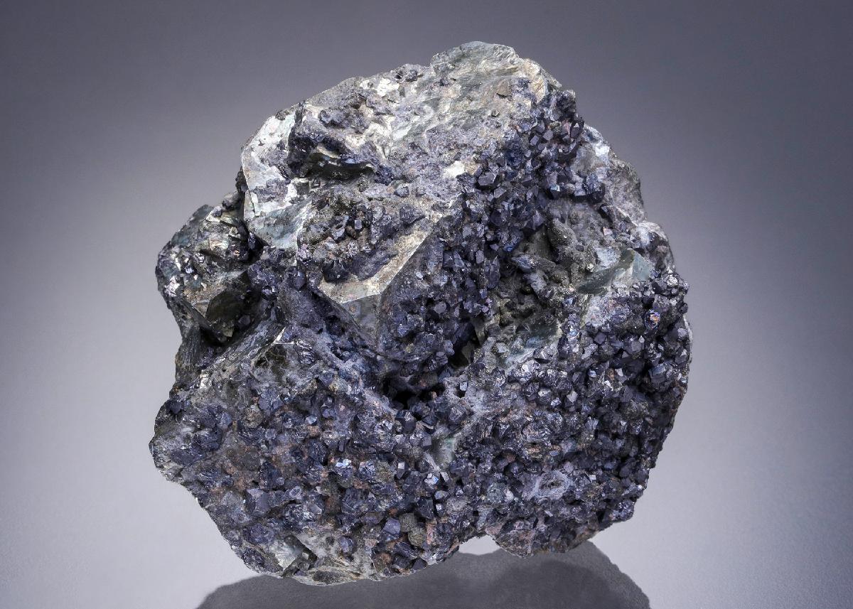 CC30539 specimen image
