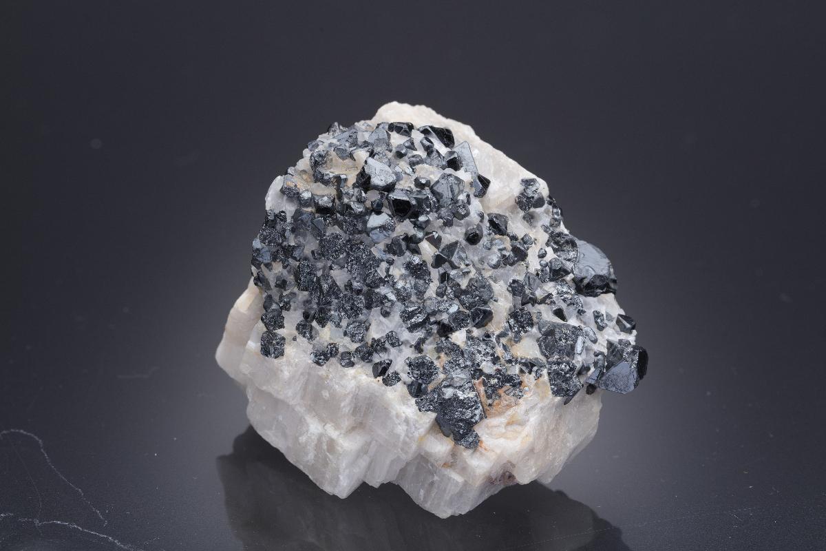 CC30543 specimen image