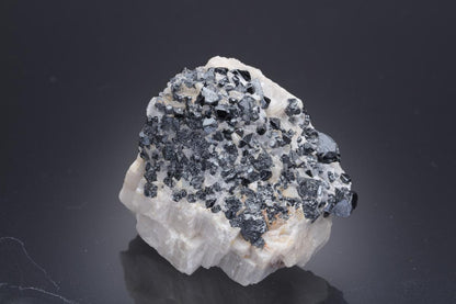 CC30543 specimen image