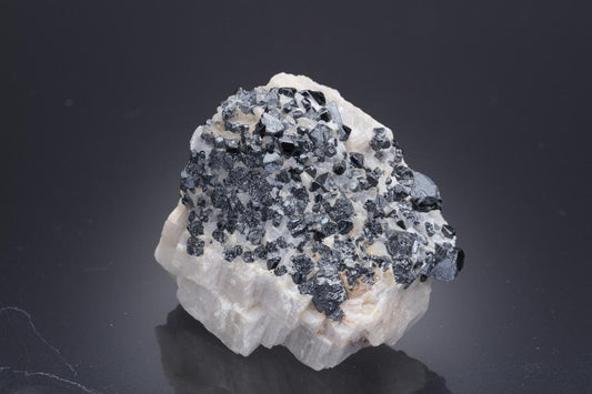 CC30543 specimen image