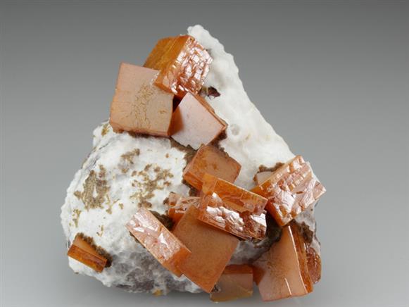 CC3055 specimen image