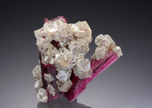 CC30567 specimen image