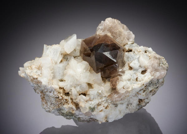 CC30573 specimen image