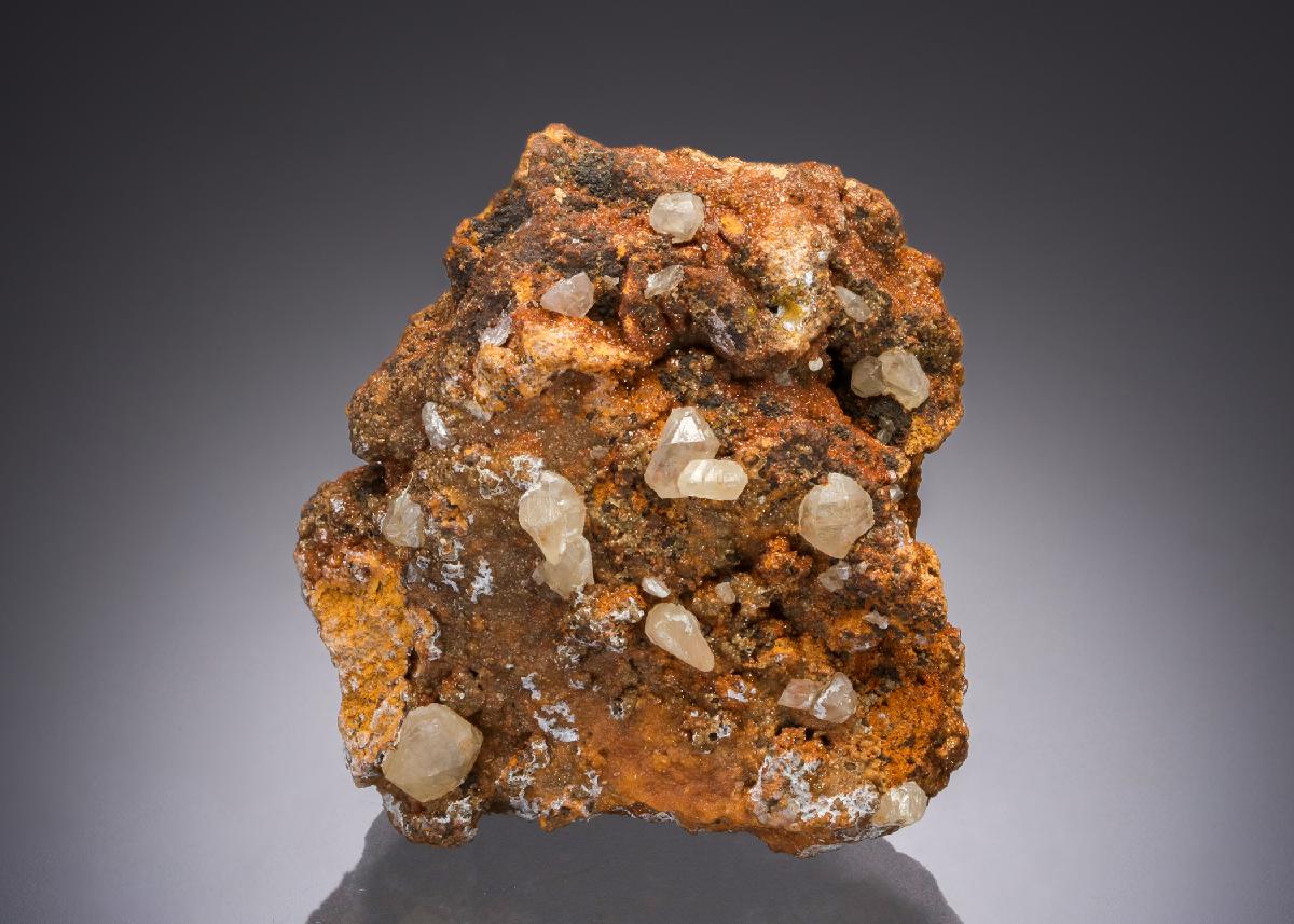 CC30575 specimen image