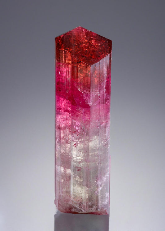 CC30587 specimen image