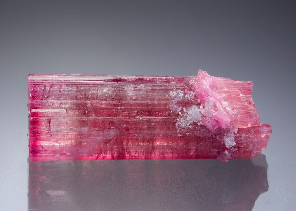 CC30637 specimen image