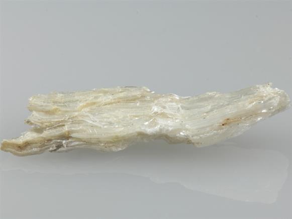CC3066 specimen image