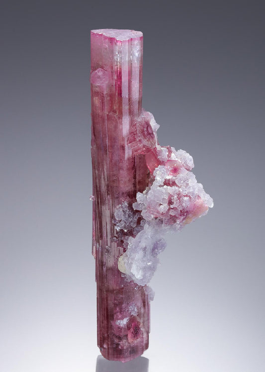 CC30713 specimen image