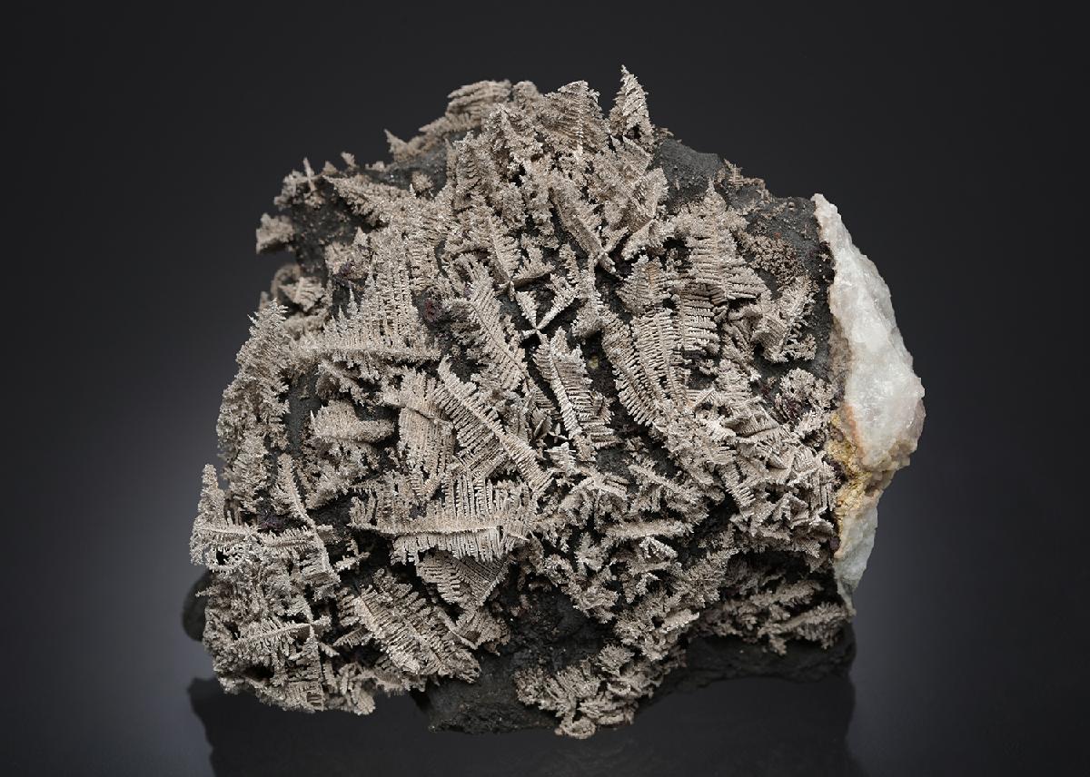 CC30729 specimen image