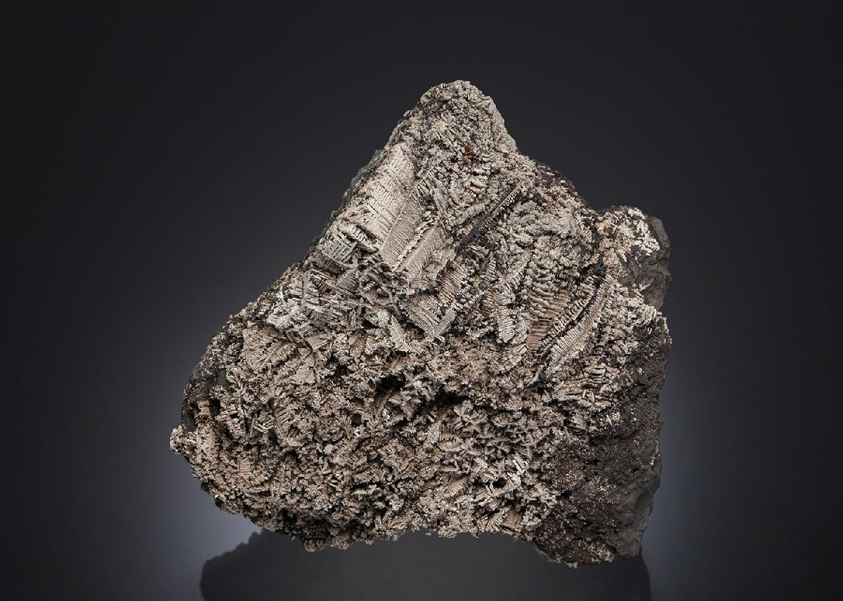 CC30731 specimen image