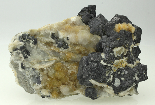 CC30733 specimen image