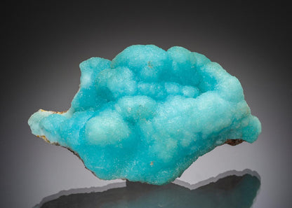 CC31397 specimen image