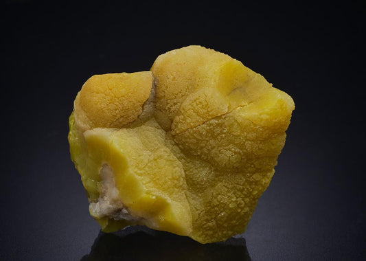CC31412 specimen image