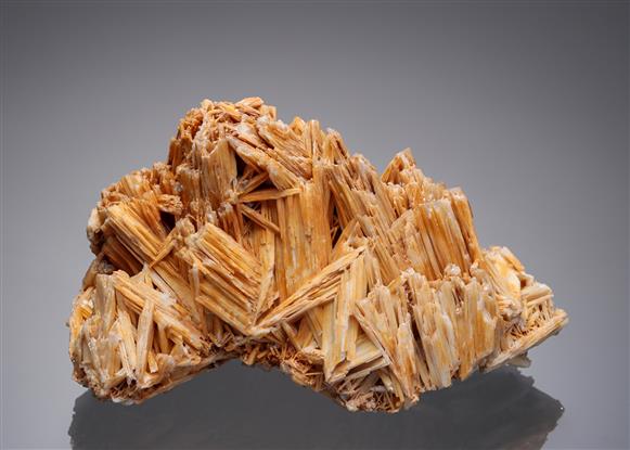 CC3147 specimen image