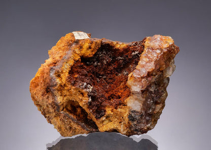 CC31484 specimen image