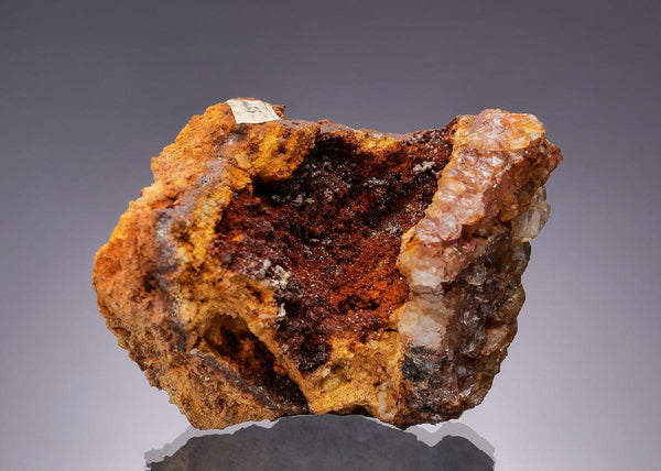 CC31484 specimen image