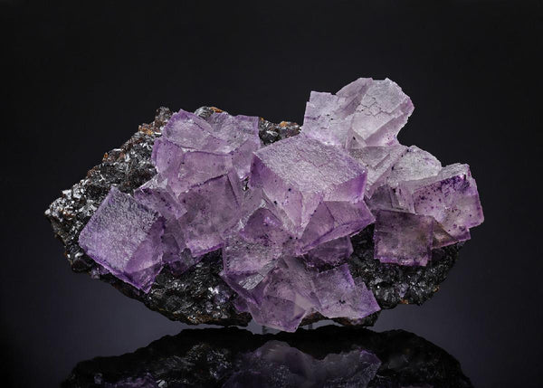 CC31562 specimen image