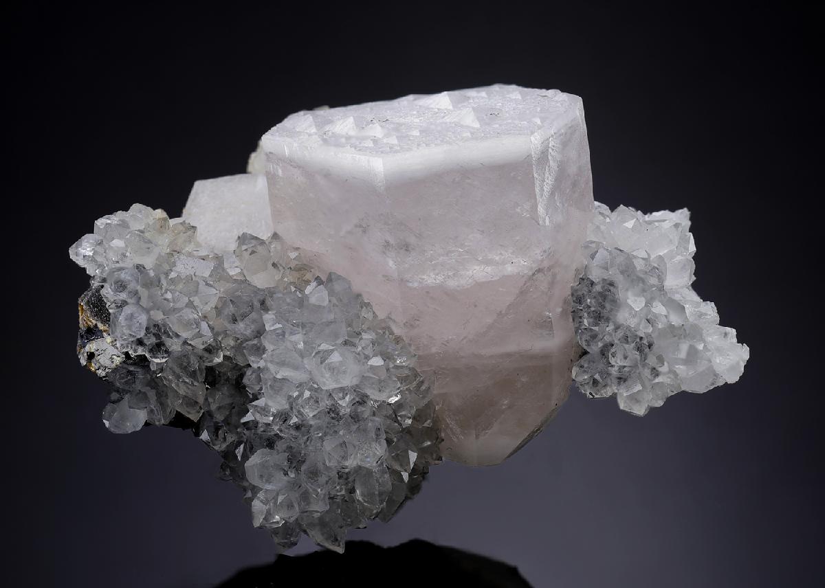 CC31655 specimen image