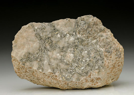 CC3166 specimen image