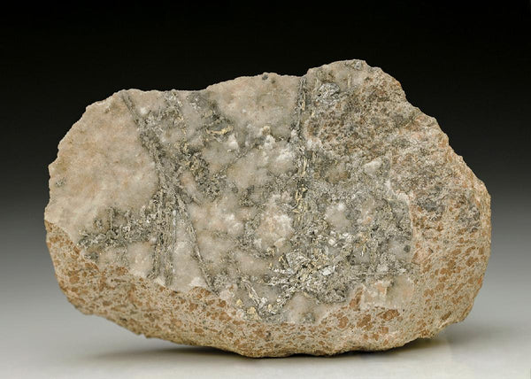 CC3166 specimen image
