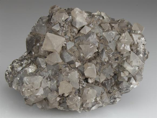 CC3170 specimen image