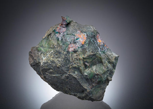 CC31762 specimen image