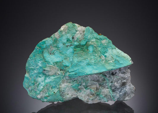 CC31768 specimen image