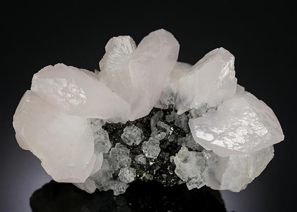 CC3178 specimen image