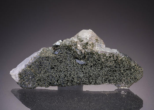 CC31795 specimen image