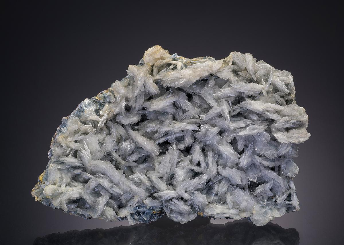 CC31819 specimen image