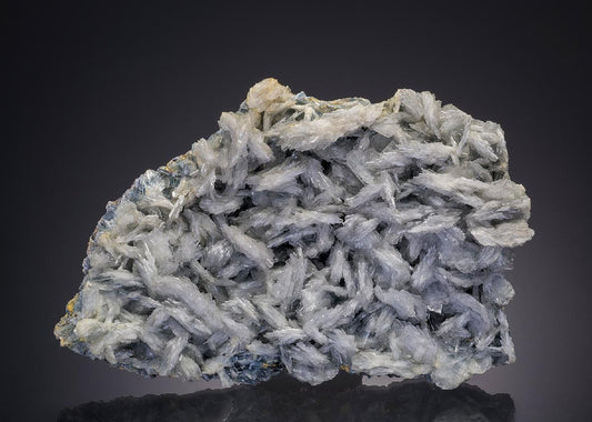 CC31819 specimen image