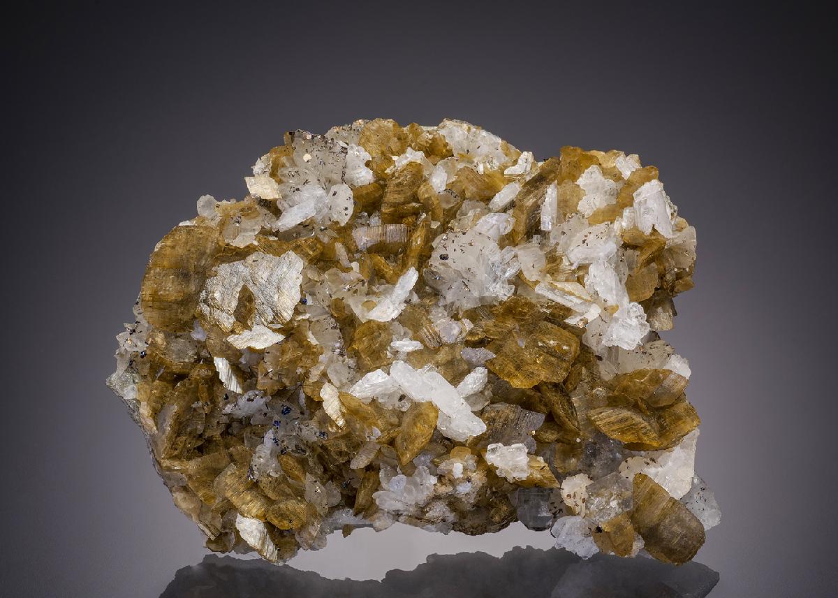 CC31822 specimen image