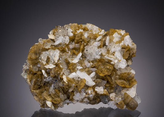 CC31822 specimen image