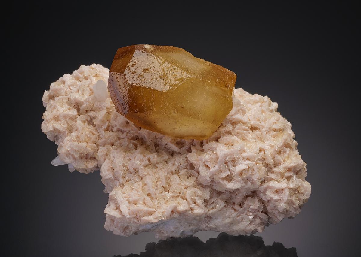 CC31828 specimen image
