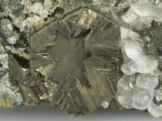 CC3183 specimen image