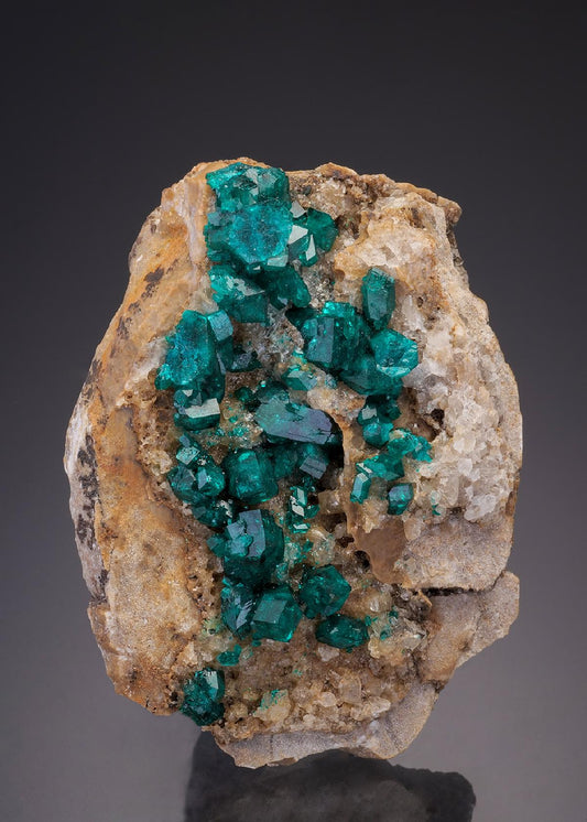 CC31849 specimen image