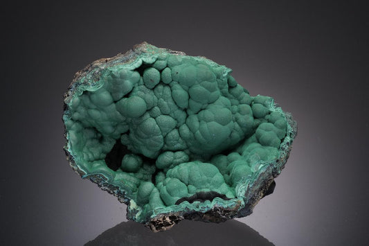 CC31864 specimen image