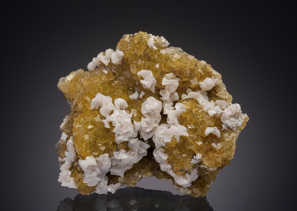 CC31900 specimen image