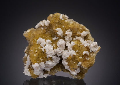 CC31900 specimen image
